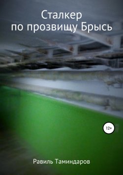 Книга "Сталкер по прозвищу Брысь" – Равиль Таминдаров, 2017