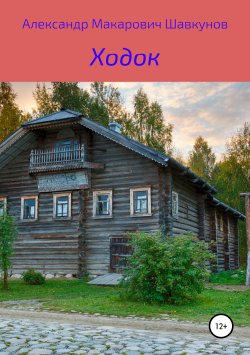 Книга "Ходок" – Александр Шавкунов, 2019