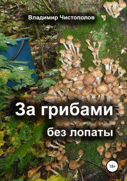 Книга "За грибами без лопаты" – Владимир Чистополов, 2014