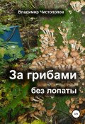За грибами без лопаты (Чистополов Владимир, 2014)