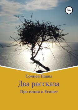 Книга "Два рассказа" – Павел Сочнев, 2019