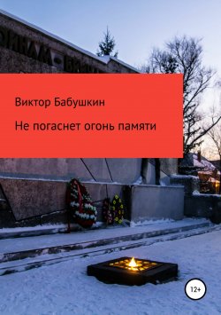 Книга "Не погаснет огонь Памяти" – Виктор Бабушкин, 2019