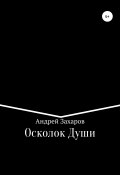 Осколок Души (Андрей Захаров, 2019)