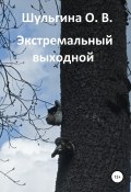 Экстремальный выходной (Шульгина Ольга, 2019)