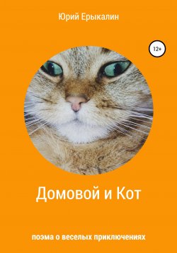 Книга "Домовой и Кот" – Юрий Ерыкалин, 2014