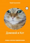 Домовой и Кот (Юрий Ерыкалин, 2014)