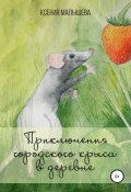 Приключения городского крыса в деревне (Малышева Ксения, 2018)
