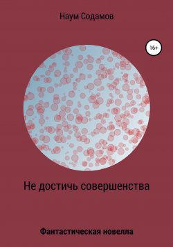 Книга "Не достичь совершенства" – Наум Содамов, 2020