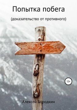 Книга "Попытка побега" – Алексей Бородкин, 2020
