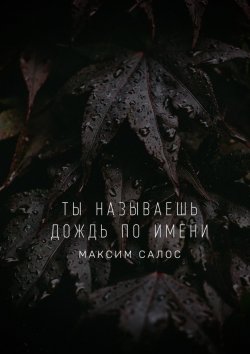Книга "Ты называешь дождь по имени" – Максим Салос