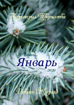 Книга "Январь. Девять Жизней" – Валентина Спирина
