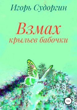 Книга "Взмах крыльев бабочки" – Игорь Судоргин, 2019