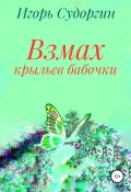 Взмах крыльев бабочки (Судоргин Игорь, 2019)