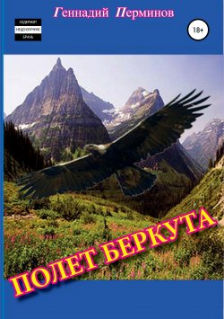 Книга "Полет беркута" – Геннадий Перминов, 2015
