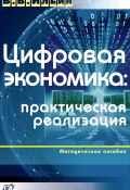 Цифровая экономика: практическая реализация / Методическое пособие (Ильин Владислав, 2020)