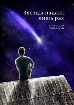 Книга "Звезды падают лишь раз" – Александр Звагельский