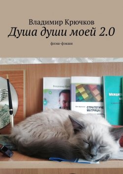 Книга "Душа души моей 2.0. флэш-фэкшн" – Владимир Крючков