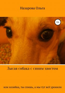 Книга "Лысая собака с синим хвостом, или хозяйка, ты спишь, а мы тут всё уронили!" – Ольга Назарова, 2020