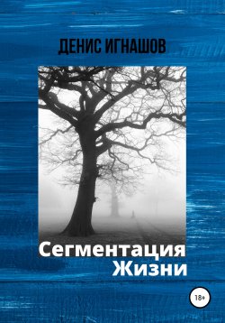 Книга "Сегментация Жизни" – Денис Игнашов, 2017
