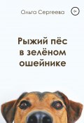 Рыжий пёс в зелёном ошейнике (Ольга Сергеева, 2018)