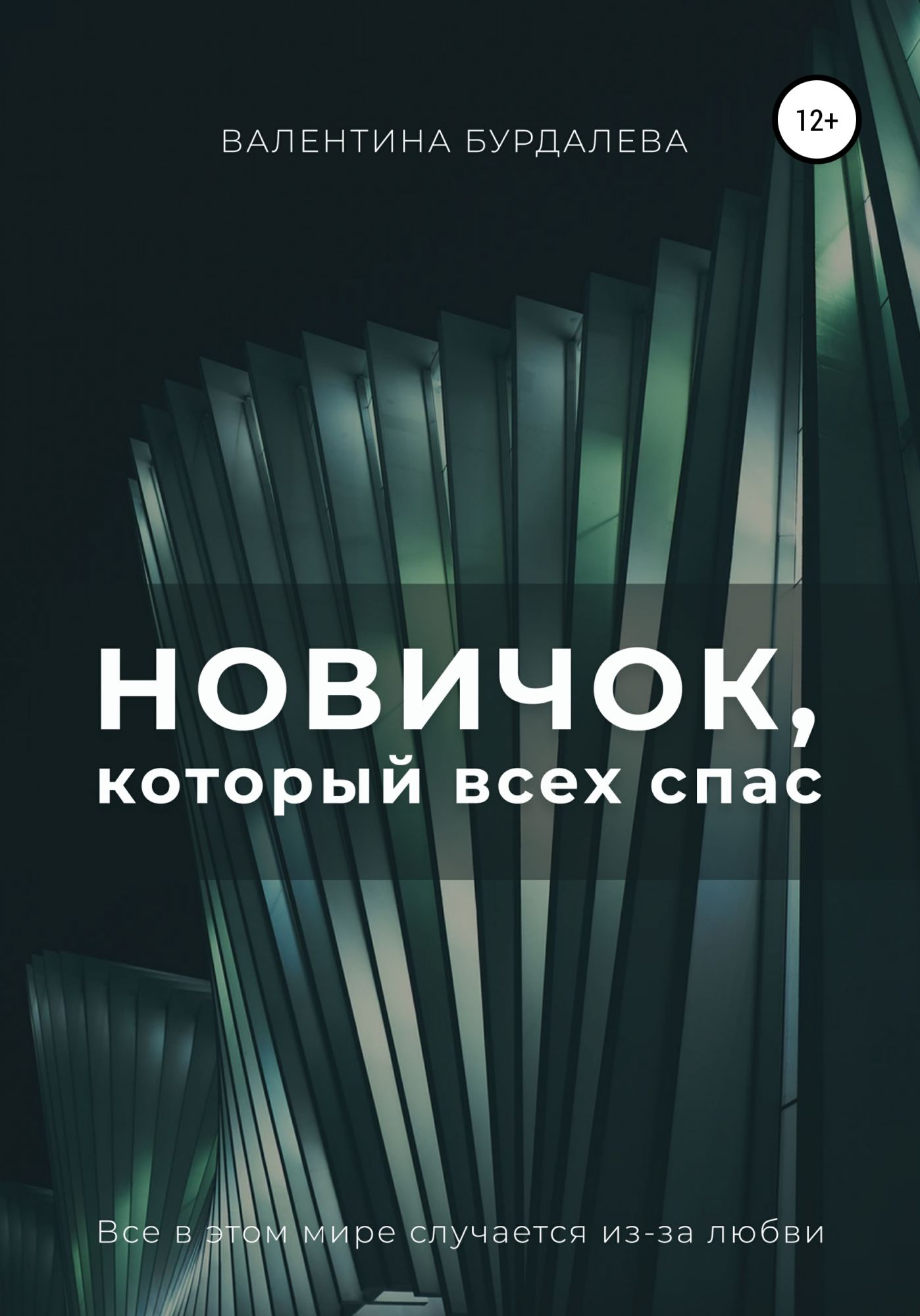 Книга новенький. Книга новечка. Книги про новенькую. Новенькая книга.