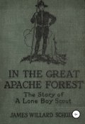 В Великом лесу апачей (Джеймс Уиллард Шульц, 1920)