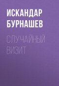 Случайный визит (Искандар Бурнашев, 2020)