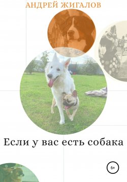 Книга "Если у вас есть собака" – Андрей Жигалов, 2020