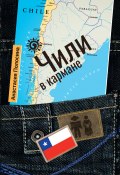 Чили в кармане (Анастасия Полосина, 2017)
