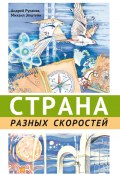 Книга "Страна разных скоростей" (Михаил Эпштейн, Андрей Русаков, 2018)