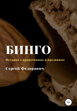 Книга "Бинго" – Сергей Федоранич, 2020
