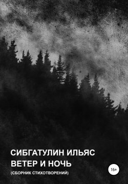 Книга "Ветер и ночь" – Ильяс Сибгатулин, 2020