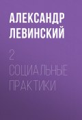 Книга "2 социальные практики" (Александр Левинский, 2020)