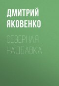 Книга "Северная надбавка" (Александр Левинский, 2020)