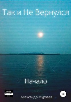 Книга "Так и Не Вернулся. Начало" – Александр Мурзаев, Александр Мурзаев, 2020