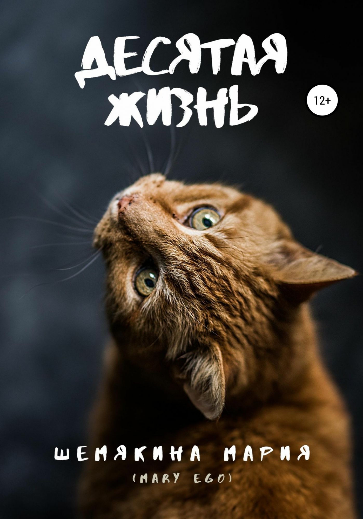 Десятая жизнь. 10 Жизней книга.