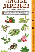 Книга "Листья деревьев. Как узнать растение / Наглядный карманный определитель" (Михаил Куценко, 2020)