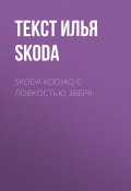 Skoda Kodiaq с ловкостью зверя (Текст Илья Фонн фото skoda, 2017)