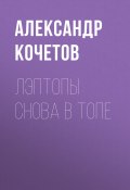 Книга "Лэптопы снова в топе" (Александр Кочетов, 2017)