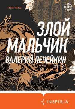 Книга "Злой мальчик" {Loft. Современный роман} – Валерий Печейкин, 2020