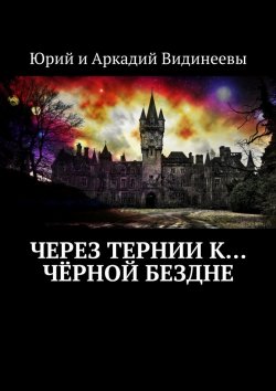 Книга "Через тернии к… чёрной бездне" – Юрий и Аркадий Видинеевы