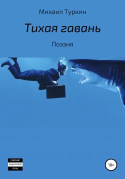 Книга "Тихая гавань" – Михаил Туркин, 2020