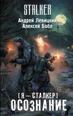 Книга "Осознание" {Апокалипсис-СТ} – Андрей Левицкий, Алексей Бобл, 2013