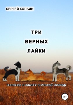 Книга "Три верных лайки. Рассказы о собаках и русской природе" – Сергей Колбин, 2020