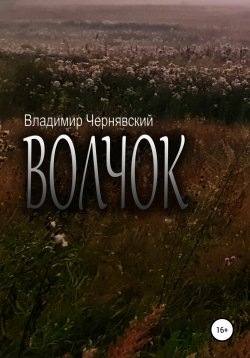Книга "Волчок" – Владимир Чернявский, 2020