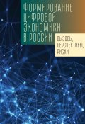 Формирование цифровой экономики в России: вызовы, перспективы, риски / Монография (Коллектив авторов, 2020)