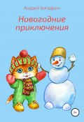 Книга "Новогодние приключения" (Андрей Богдарин, 2020)