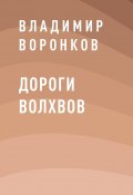 Книга "Дороги волхвов" (Владимир Воронков)
