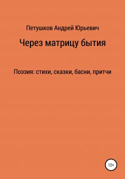 Книга "Через матрицу бытия" – Андрей Петушков, 2020