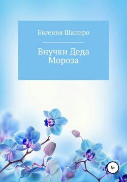 Книга "Внучки Деда Мороза" – Евгения Шапиро, 2020